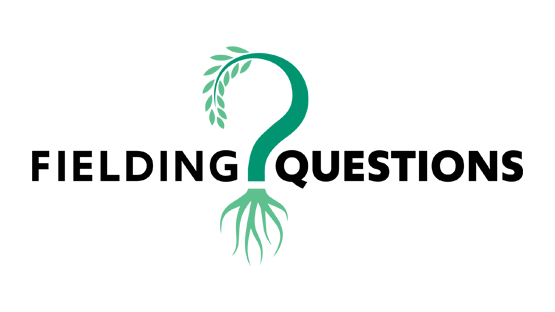 Fielding Questions logo